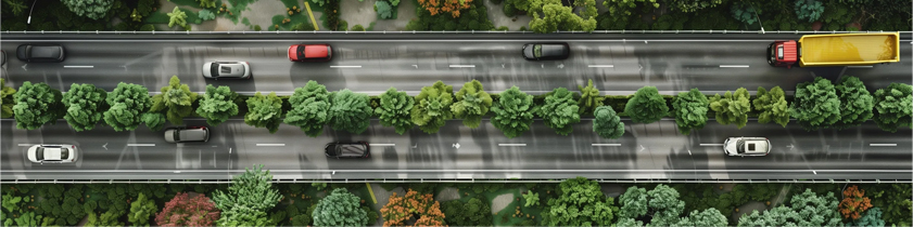 Environmental Sustainability