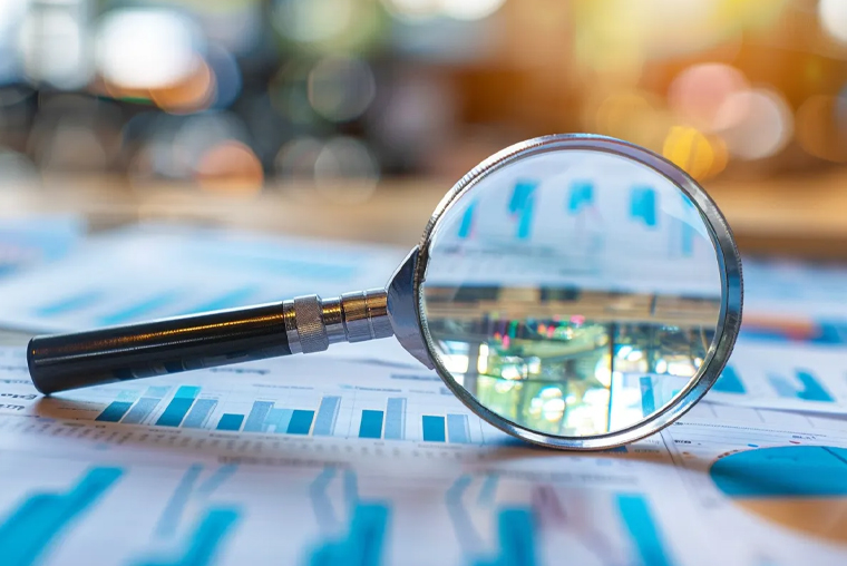 Catalogues Spécifiques au Marché